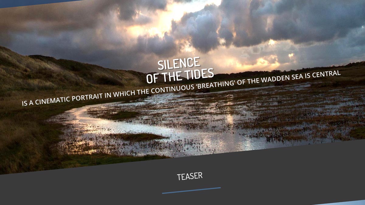 2020 Silence Of The Tides 2020 Silence Of The Tides